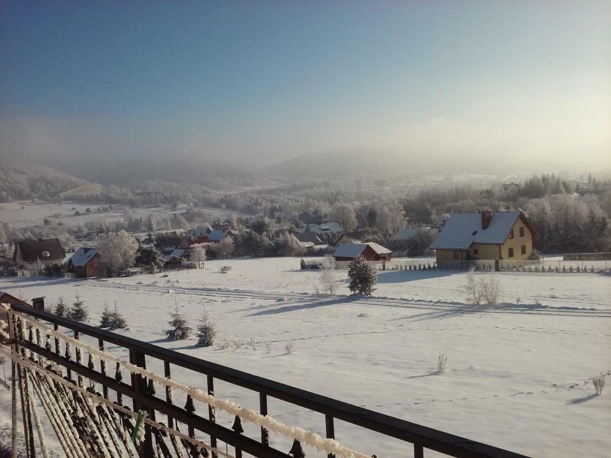 Pokoje Panorama Wysowa-Zdrój 外观 照片