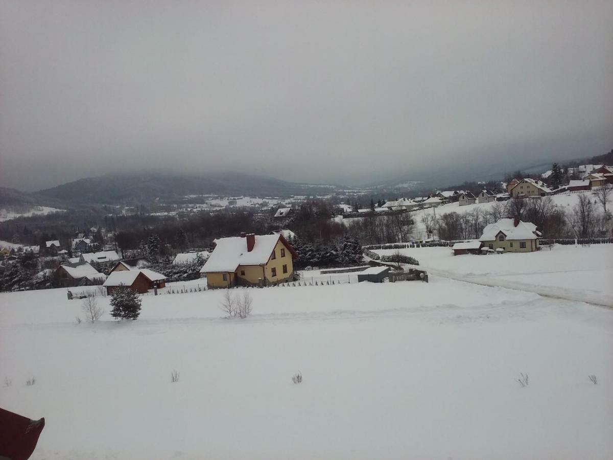 Pokoje Panorama Wysowa-Zdrój 外观 照片